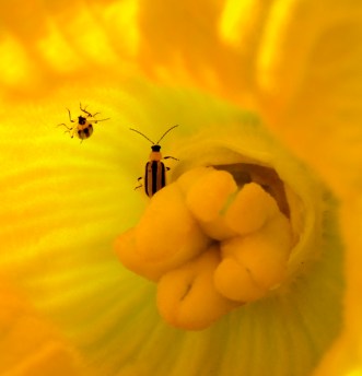 DSC_0014 - Version 2