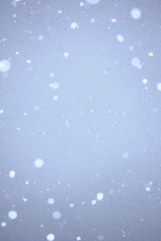 Free_Snow_Falling_on_Blue_Sky_Unedited_Creative_Commons_(2932693860)