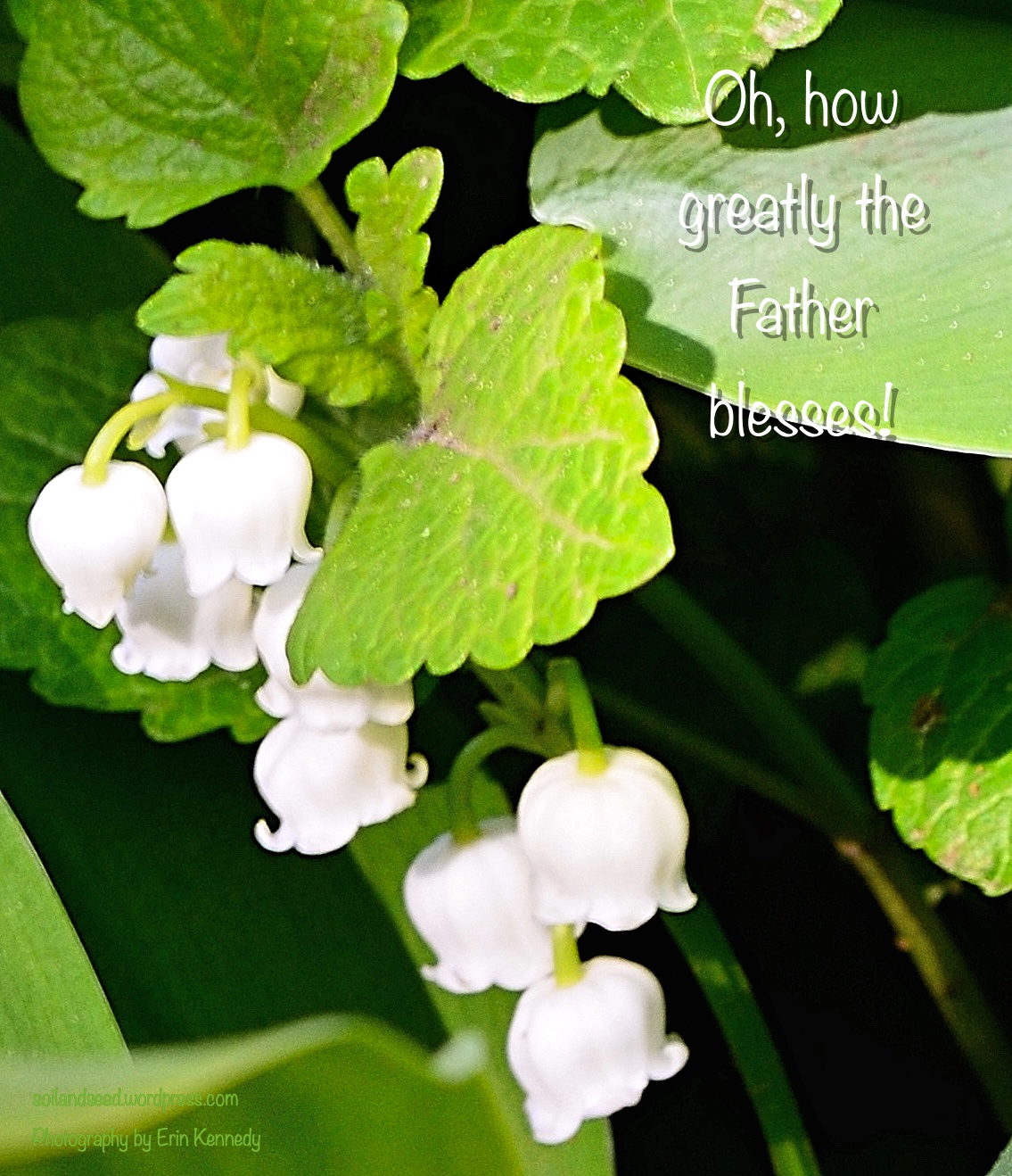 How Greatly the Father Blesses