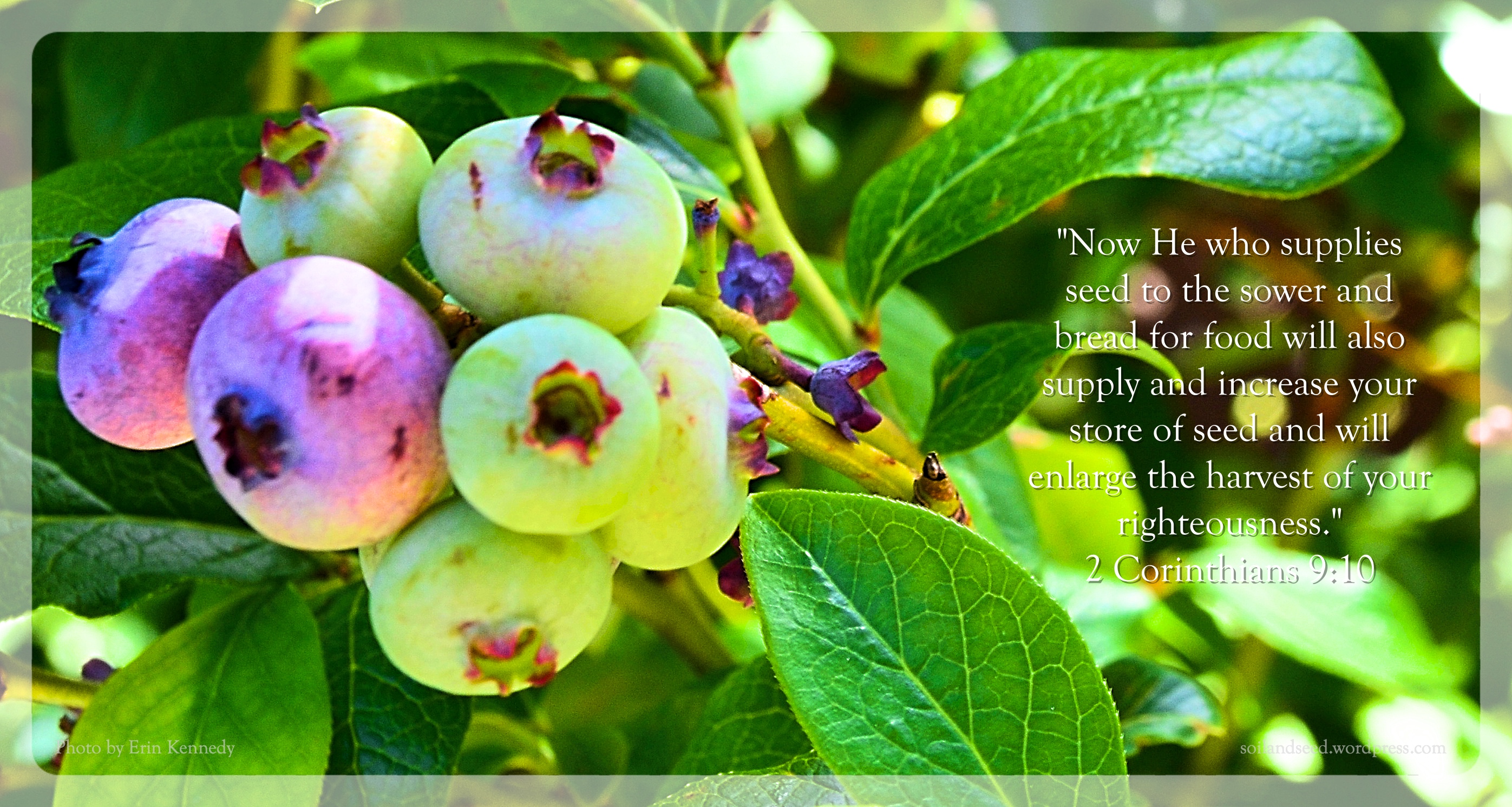 He Who Supplies Seed