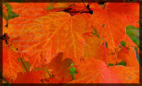 autumn-rain-and-spring-rain