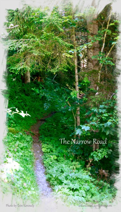 the-narrow-road
