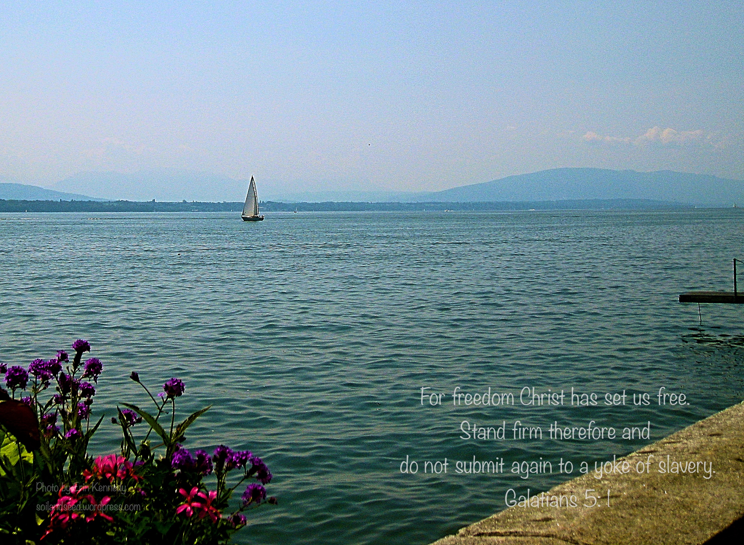 freedom-from-slavery