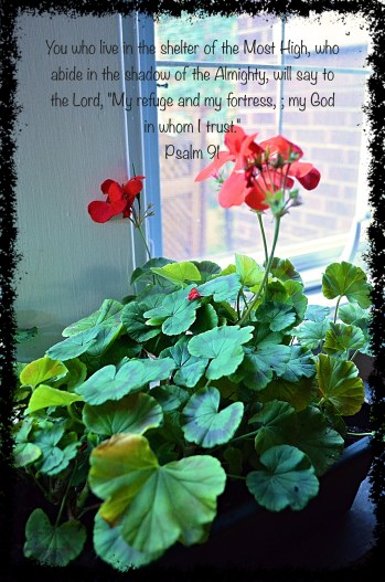 shelter-of-the-most-high-1