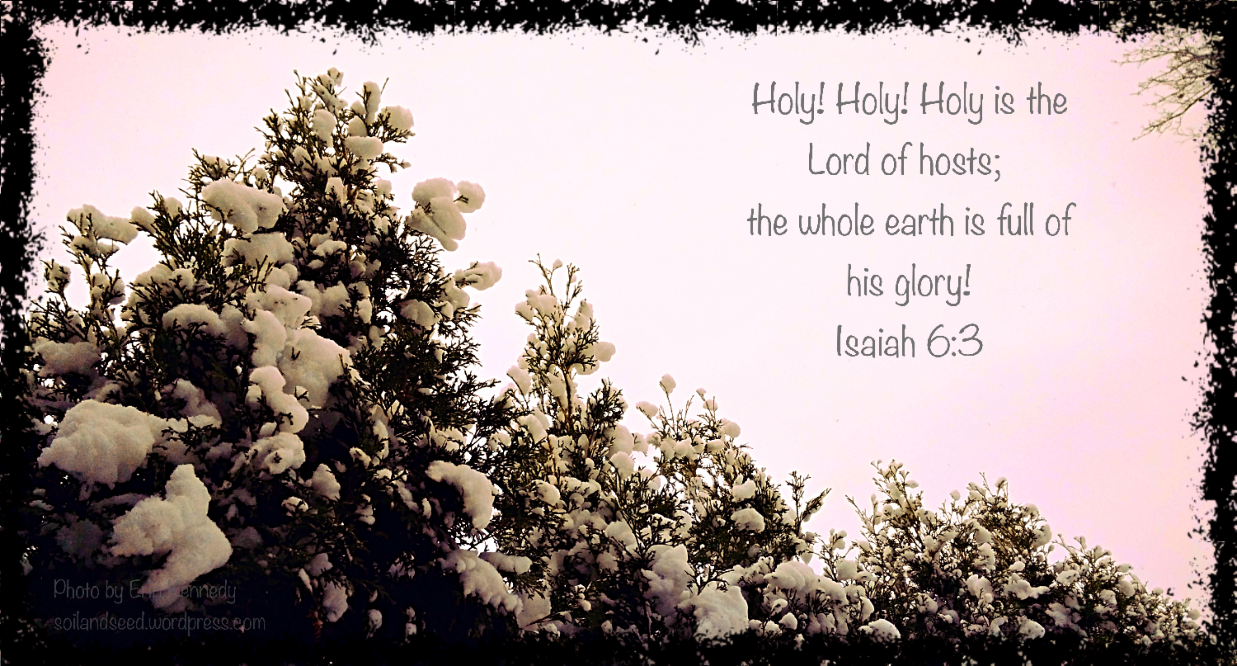 holy-holy-holy-is-the-lord-2