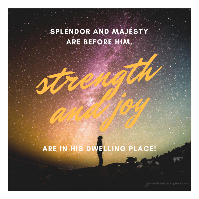 splendor-and-majesty