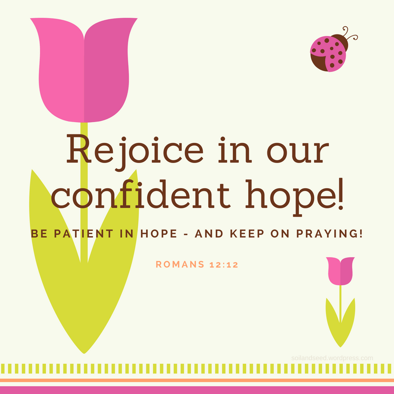 Rejoice in our confident hope!