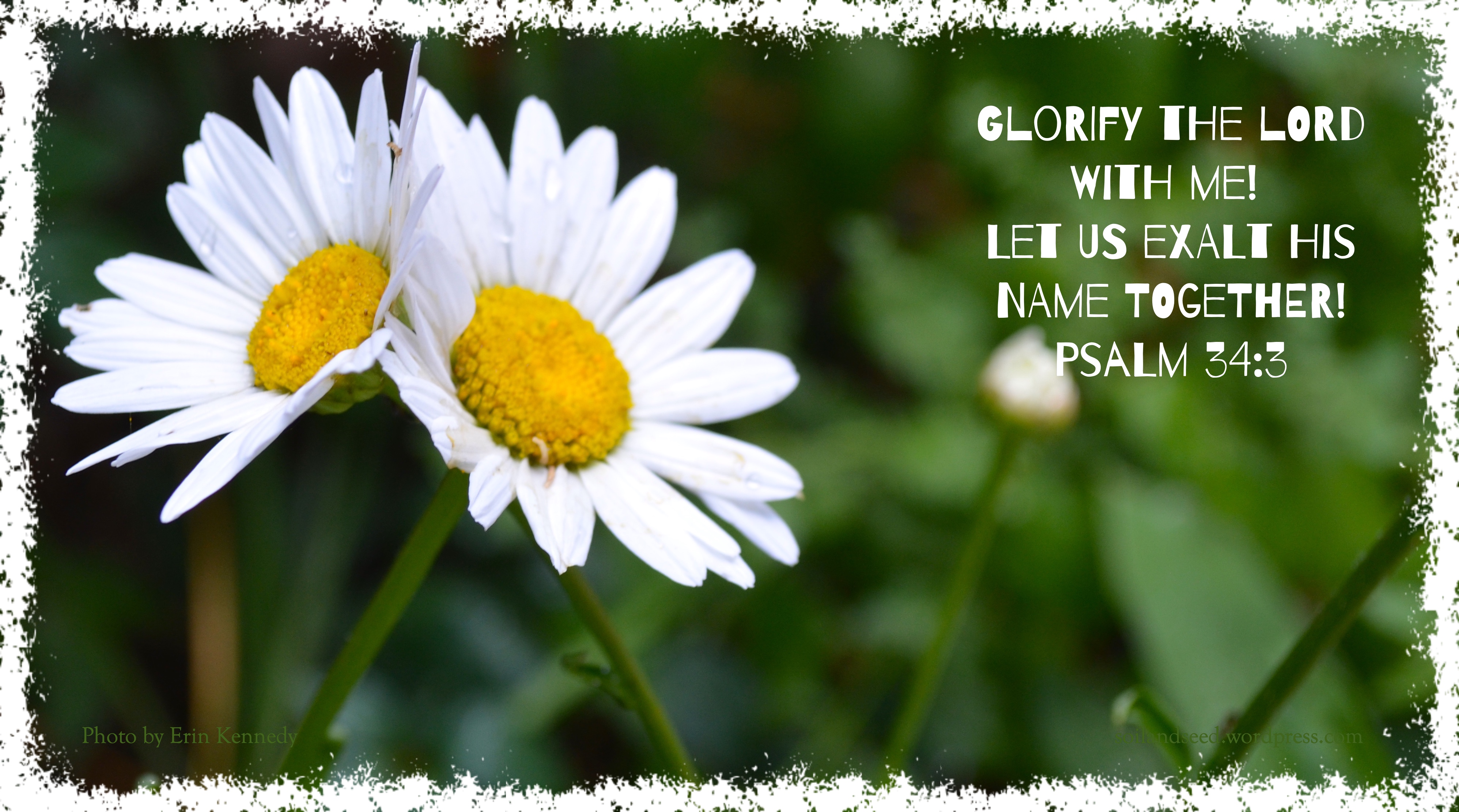 Glorify the Lord with Me!