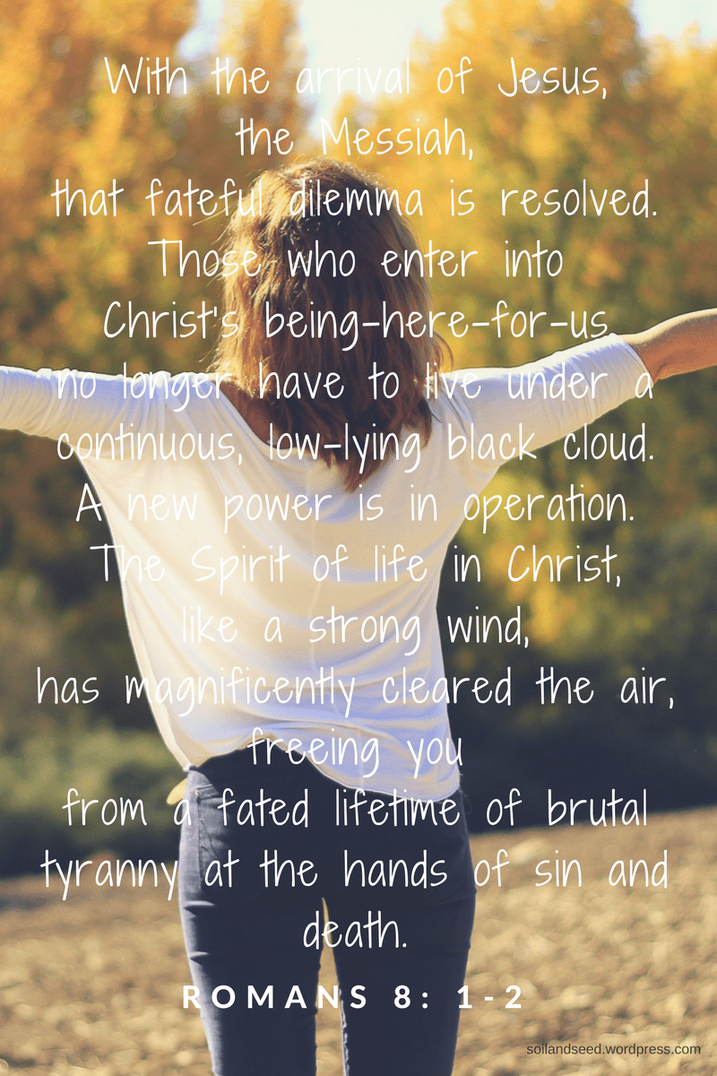 Dilemma Resolved.png