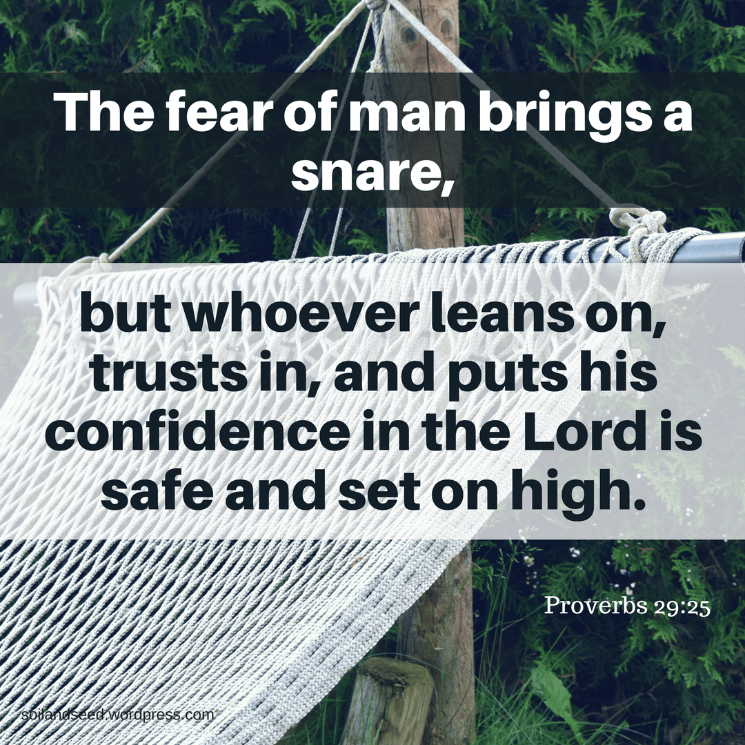 Snare