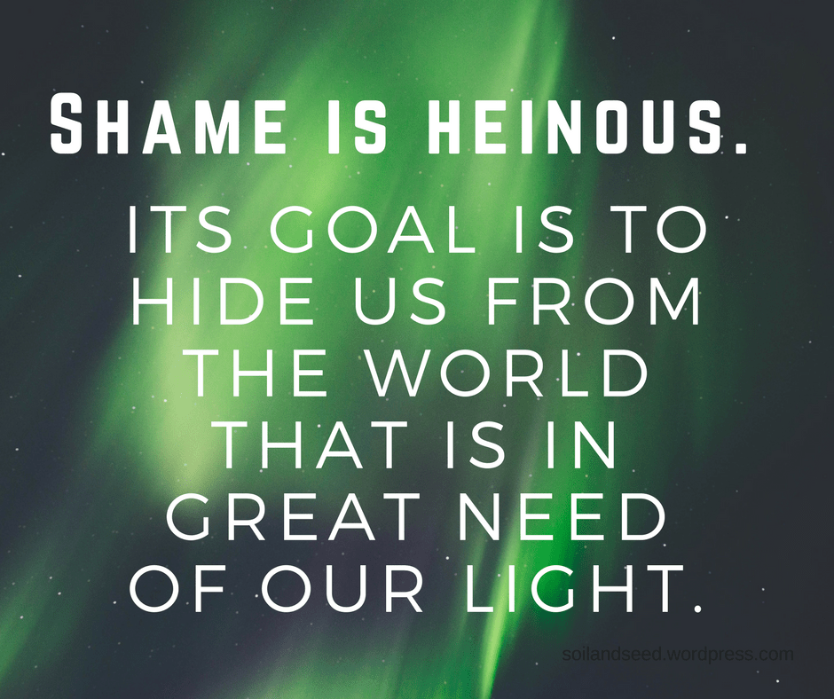 Shame is heinous..png