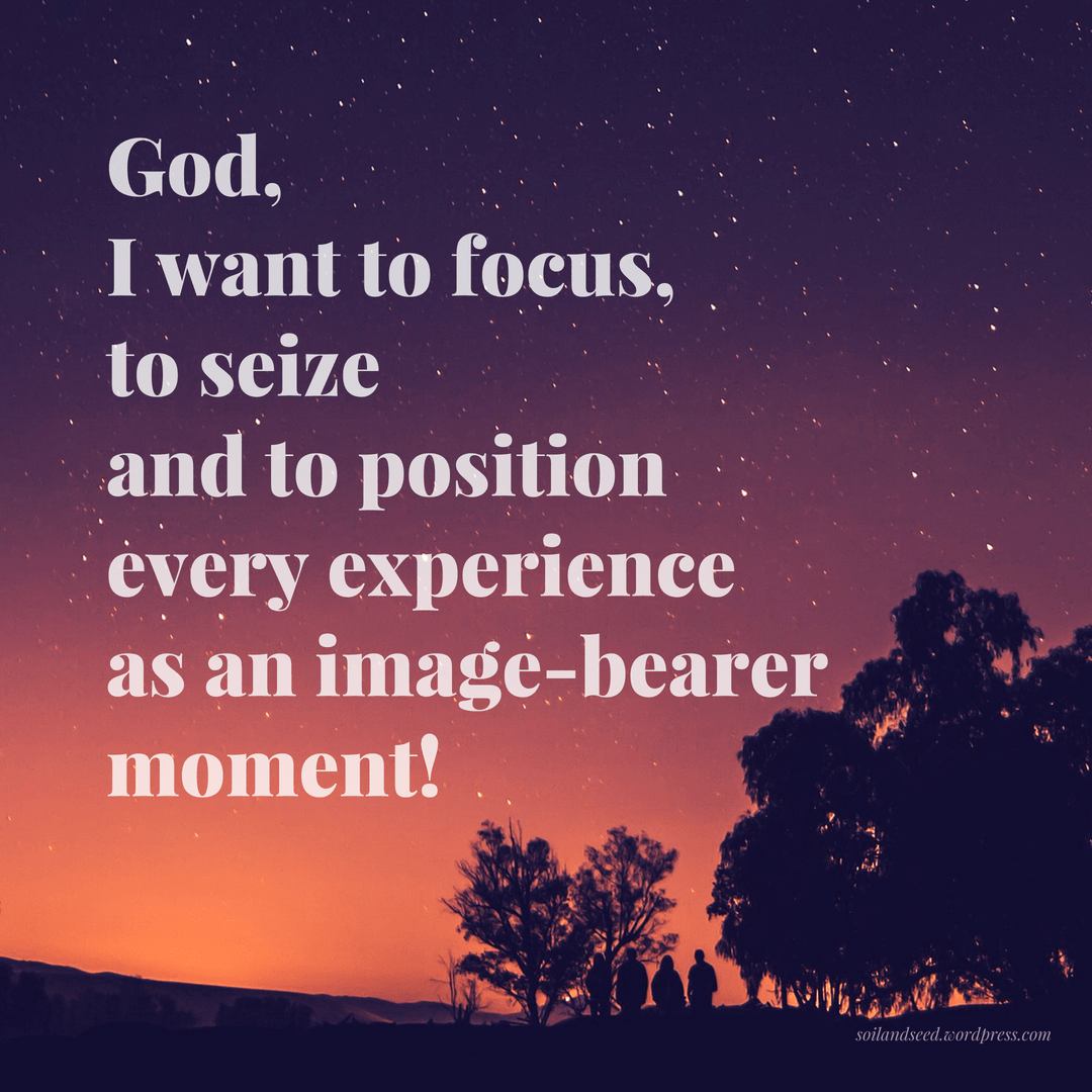 Focus and Seize
