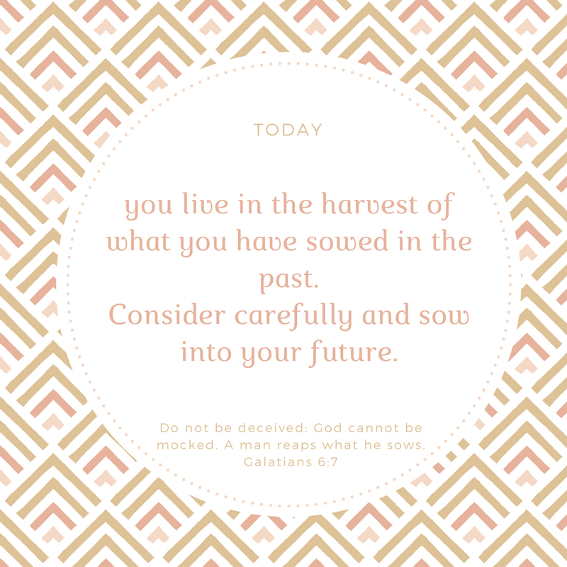 Harvest for Your Future