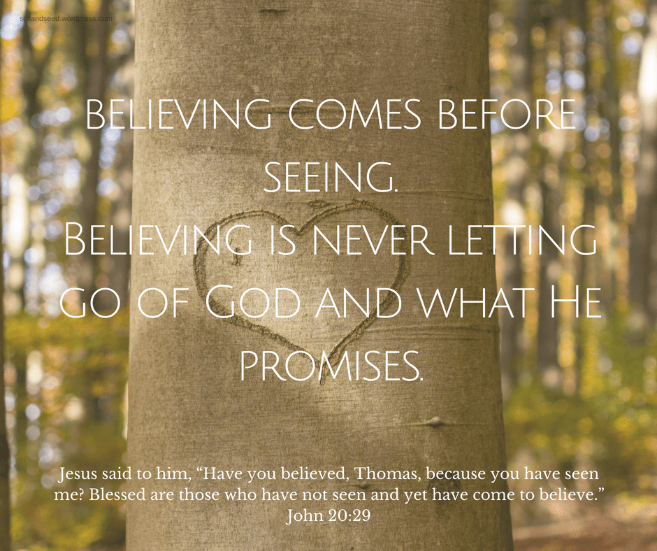 Believe it to See it