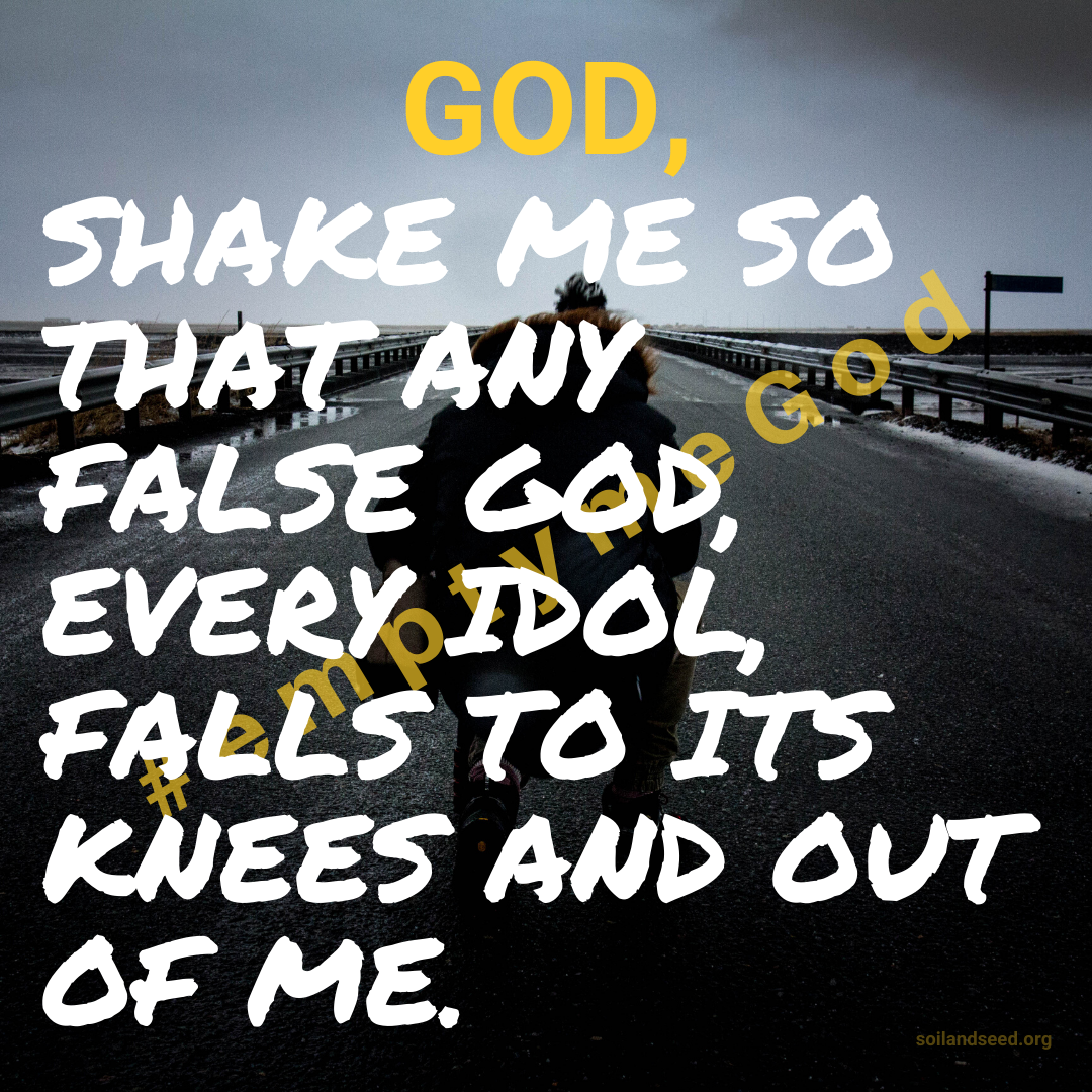 Shaking | Soil and Seed